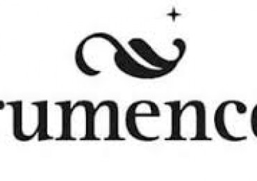 VENTA LOTE RUMENCO